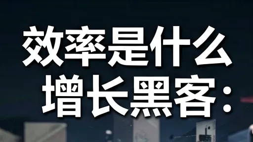 效率是什么 vs 增长黑客：深度解析与选择指南